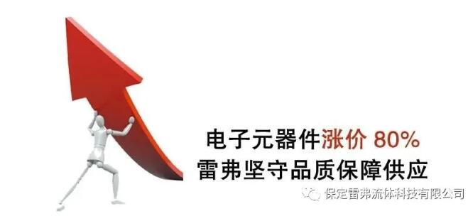 蠕動(dòng)泵廠家雷弗