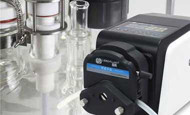 蠕動(dòng)泵因素照片